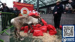 英国物流业工人全面罢工，圣诞期间清关派送将延误！