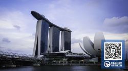 出口新加坡DDP/双清到门