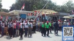 好消息！印尼雅加达港口罢工取消！