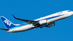 自建站发货到日本有哪些物流渠道？